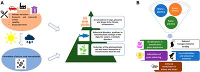 Beyond genetics: can micro and nanoplastics induce epigenetic and gene-expression modifications?